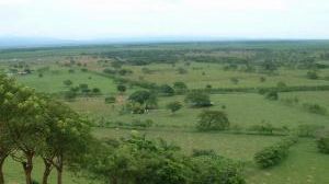 Paysage agricole de San Domingo