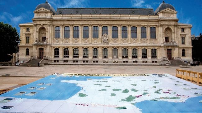 2010 : la carte du patrimoine naturel au Jardin des Plantes