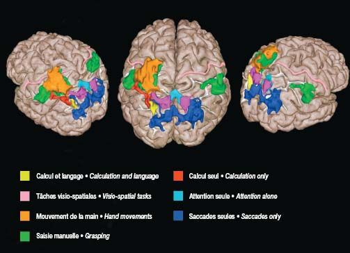 L'objectif fonctionnel de l'imagerie : la localisation de certaines fonctions motrices, sensorielles ou cognitives.