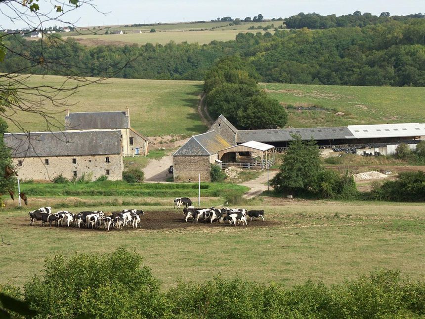 La stabulation libre : une construction standardisée. Hamars, lieu-dit La Vallée (Calvados)