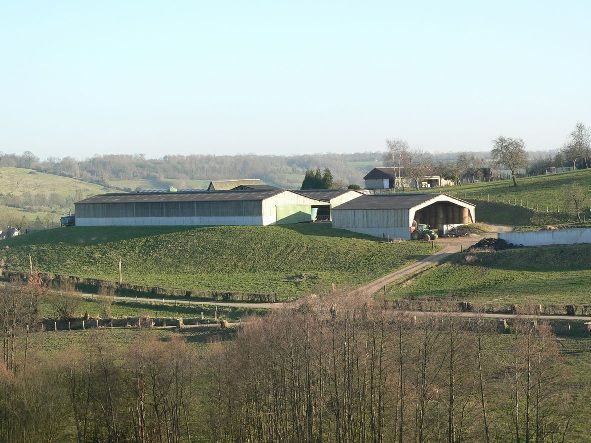 La stabulation et les bâtiments de stockage à Camembert, lieu-dit Beaumoncel (Orne)