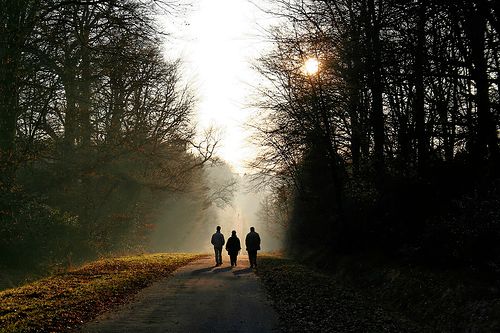 forêt