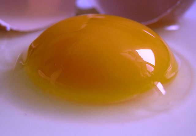 Oeuf cru
