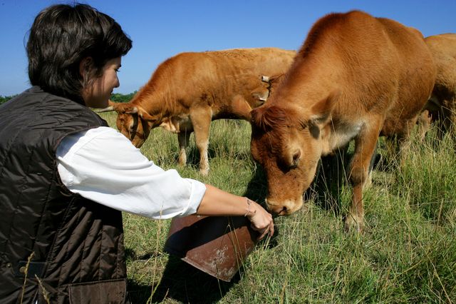 agriculture