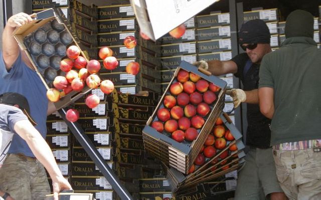 Des membres de la FDSEA détruisent des cageots de nectarines importées d'Espagne