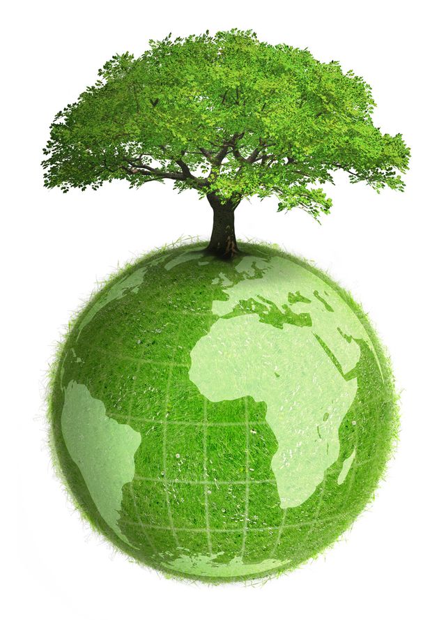 Arbre sur le globe