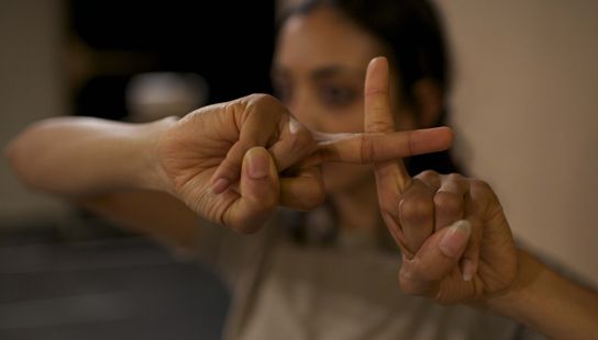 DV8 - Seeta Patel