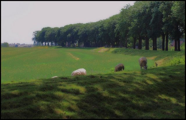 Meuse