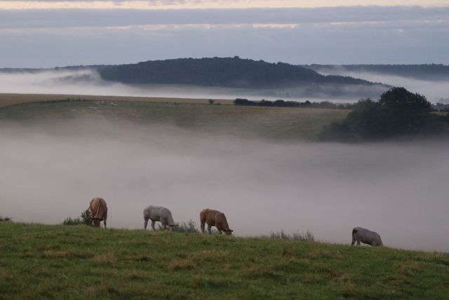 Haute-Marne