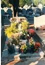 Tombe de Georges Brassens