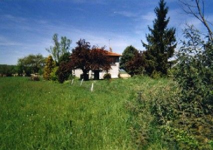 Le sapin de Joël Fauré