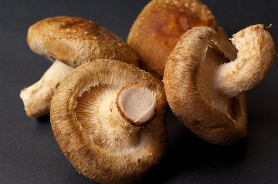 champignons