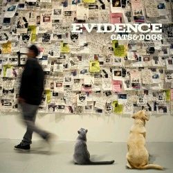 Evidence Cats & Dogs