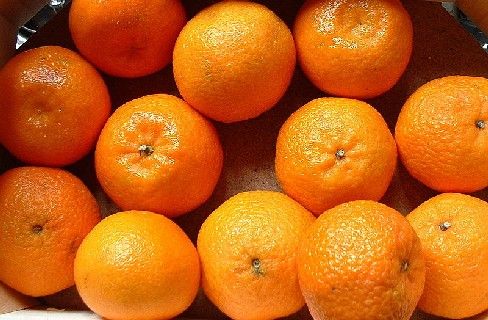 Clementines