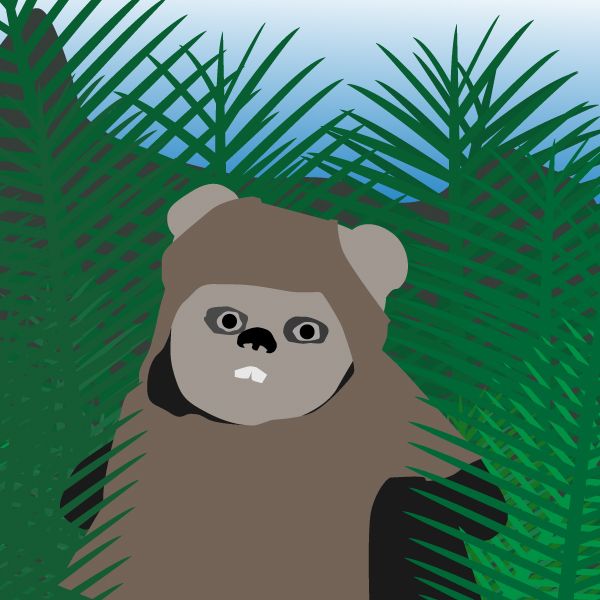 Ewok