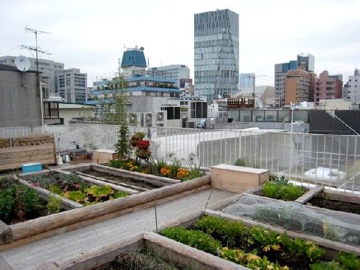 Parcelle d'agriculture à Tokyo