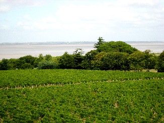 Gironde