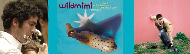 bandeau wildmimi