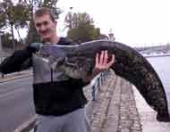 Street Fishing