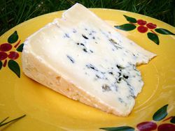 Bleu des Causses (AOP)