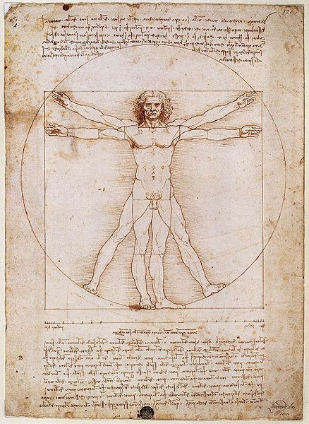 L'homme de Vitruve 1492
