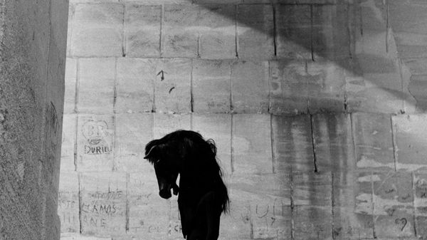 L'homme cheval dans la carrière des Baux de Provence