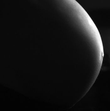 Une naissance de mères