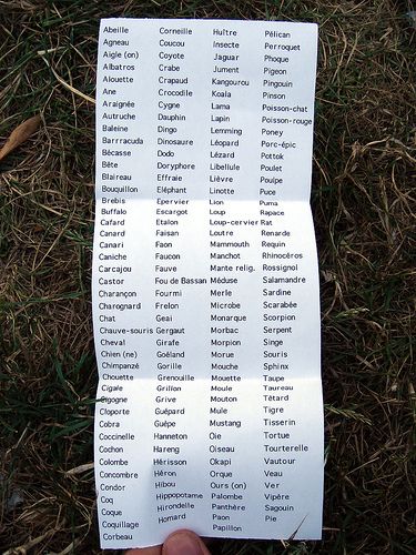 Liste
