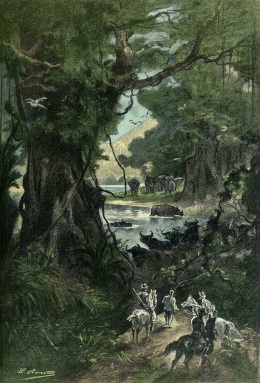 Illustration de "L'étoile du sud" par Léon Benett - 1884