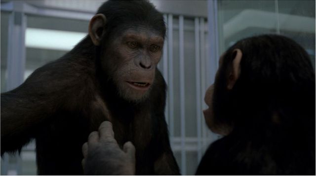 planete des singes