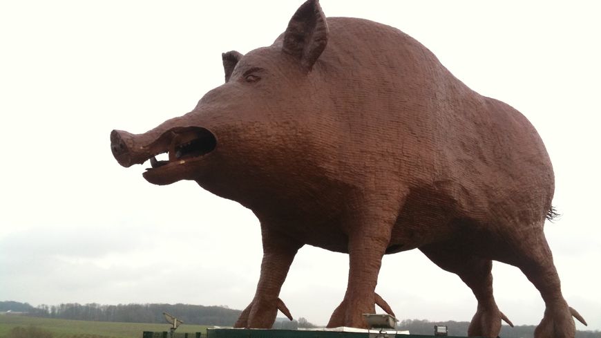 Le sanglier, symbole des Ardennes