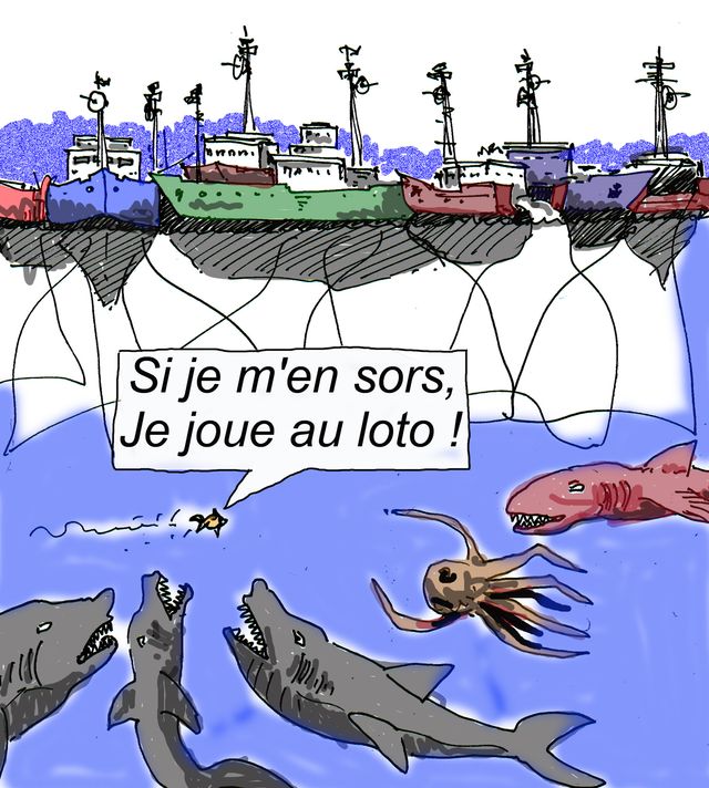 Le dessin de Jonaten du 30-01