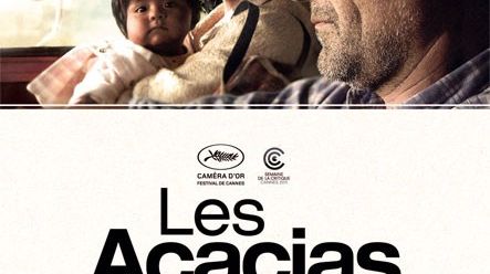 Les acacias