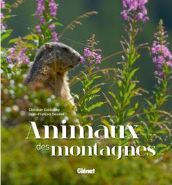 animaux de montagnes couv livre