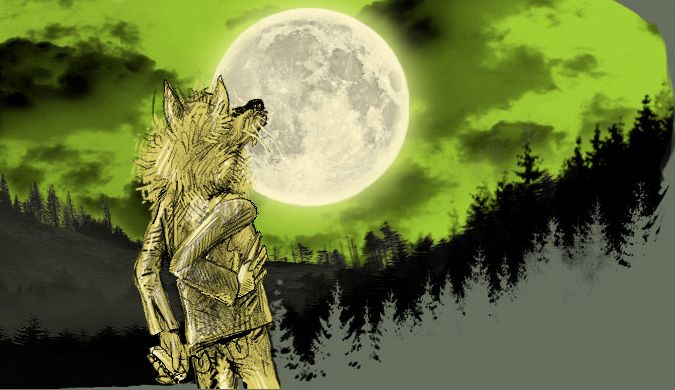 Hobo Lobo
