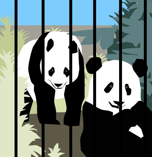 Petit panda