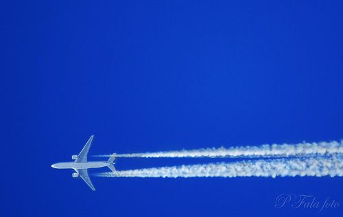 Avion
