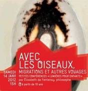 Avec les oiseaux, migrations et autres voyages
