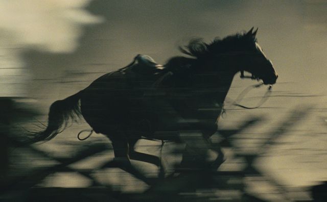 Cheval de guerre