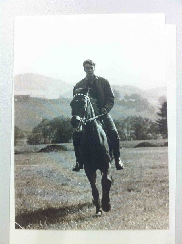 Sebald Fiction