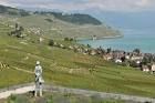 Grandvaux (Suisse)