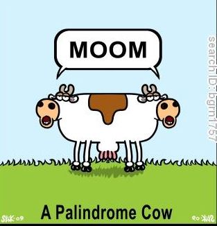 A Palindrome Cow