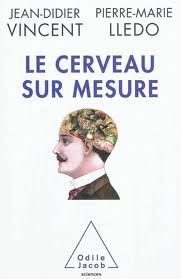 Le cerveau sur mesure
