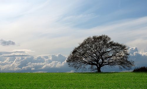 Campagne