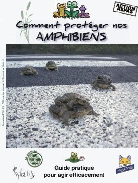 Guide de Protection des amphibiens