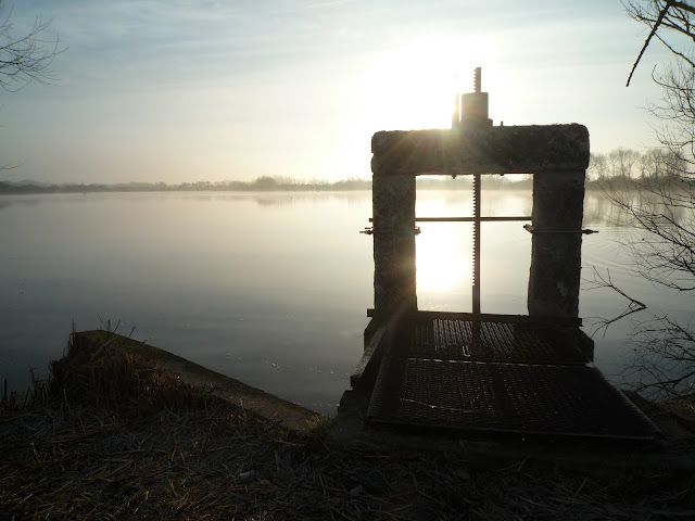 Parc naturel régional de la Brenne