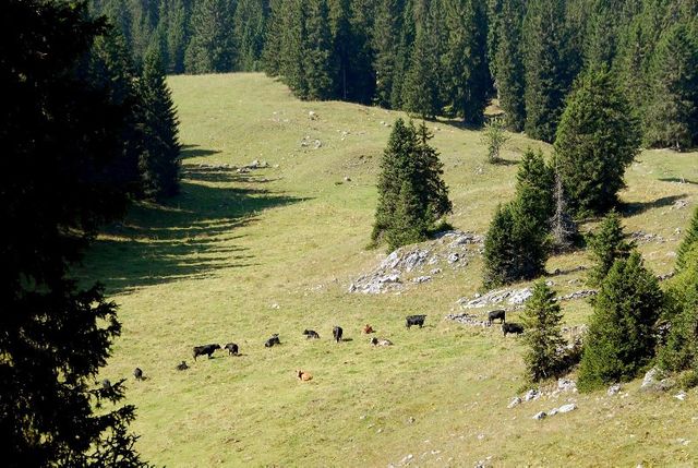Le Jura