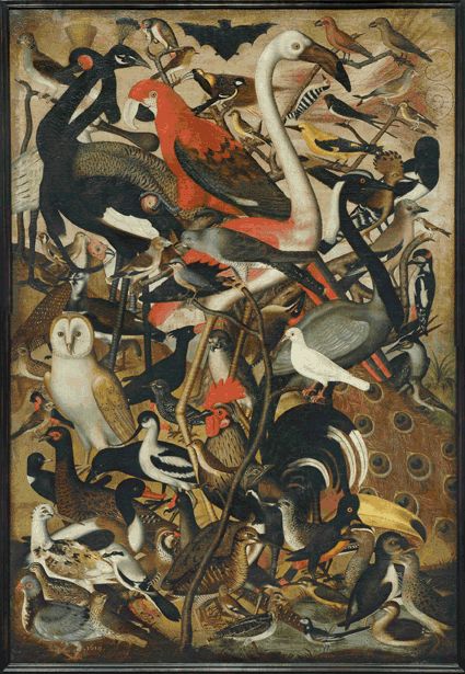 Les oiseuax 1619 - Anonyme allemand