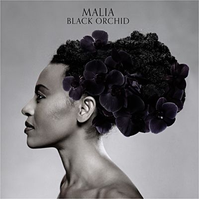 malia black orchid