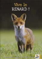 Le renard